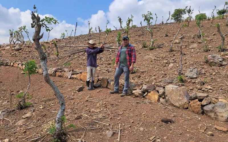 Promueven la conservación de suelos en Zacapa para mejorar la productividad agrícola