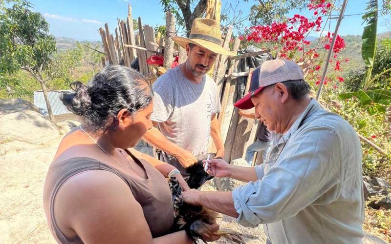 Promueven prácticas saludables en la avicultura familiar en Chiquimula