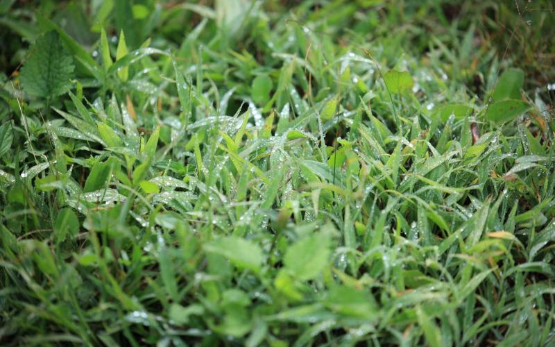 Recomendaciones por clima en abril