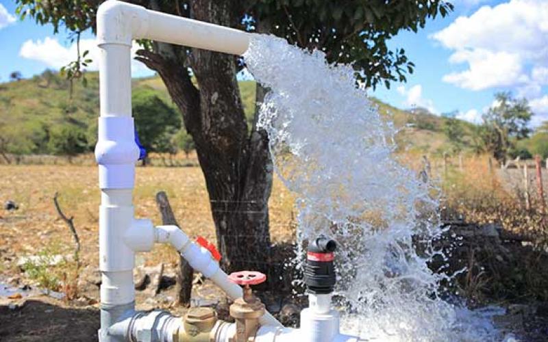 Sistemas de riego en el país son fundamentales en la agricultura