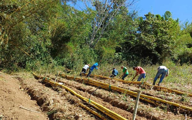 Promueven huertos pedagógicos en La Unión, Zacapa