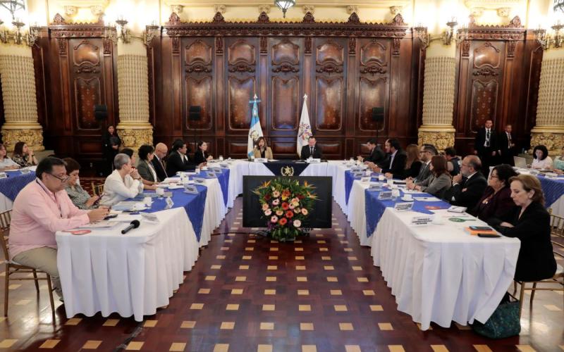 Vicepresidenta Karin Herrera