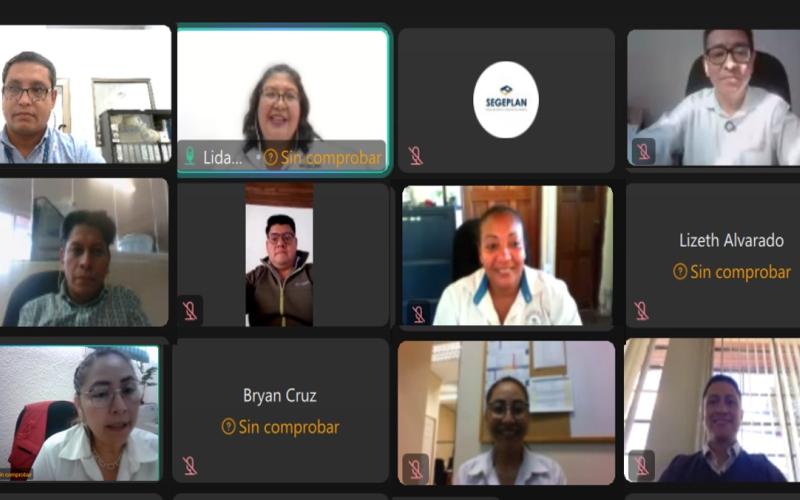 Sesión de trabajo virtual. 