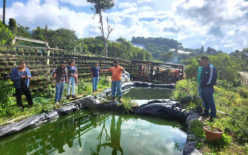 Productoras y productores porcinos exploran nuevas oportunidades con la producción de tilapia