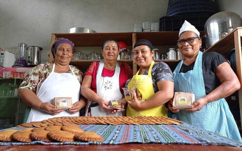 Nuez maya: nueva alternativa comercial y nutricional en Petén