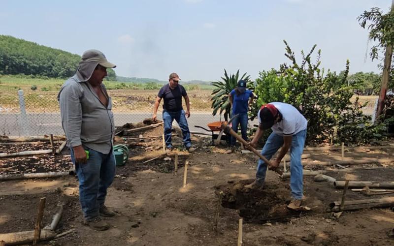 Palo Gordo apuesta por la producción de árboles frutales y forestales