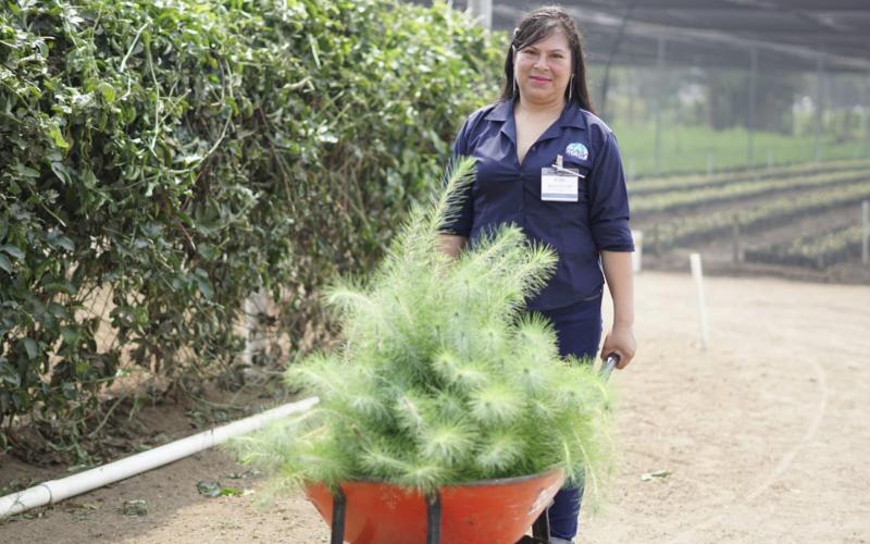 Arranca proyecto de producción de plantas forestales para recuperación de cuencas