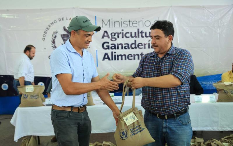 Caficultores reciben semillas resistentes a la roya