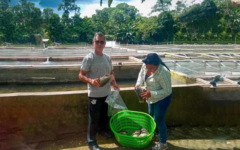 Capacitaciones sobre acuicultura en Petén buscan fortalecer la red de productores y productoras 