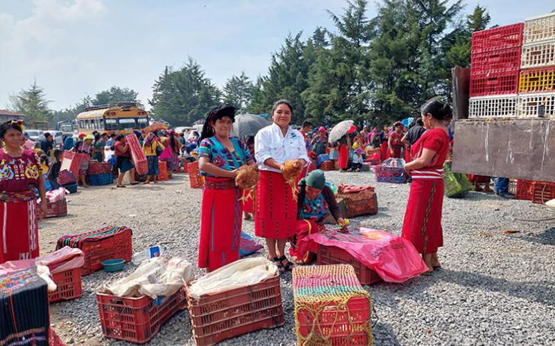 Impulsan fortalecimiento de la seguridad alimentaria y desarrollo rural en Quiché