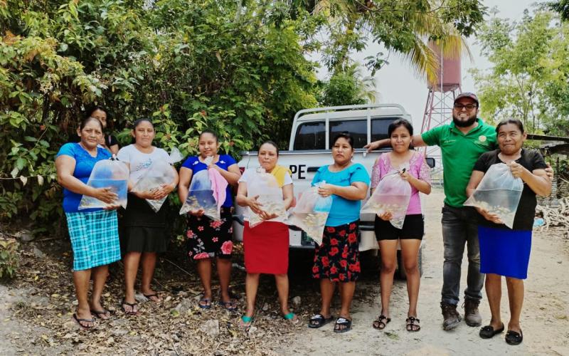 Cultivo de tilapia permite autosuficiencia alimentaria