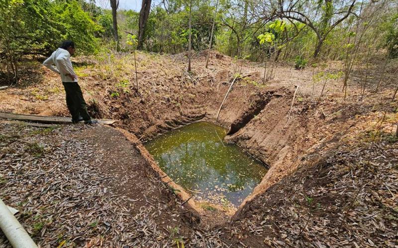 Cultivo de caracol de agua dulce una oportunidad de desarrollo económico para las comunidades