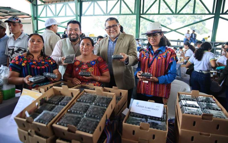 Emprendimientos generan cadenas inclusivas a productores de mora y fresa