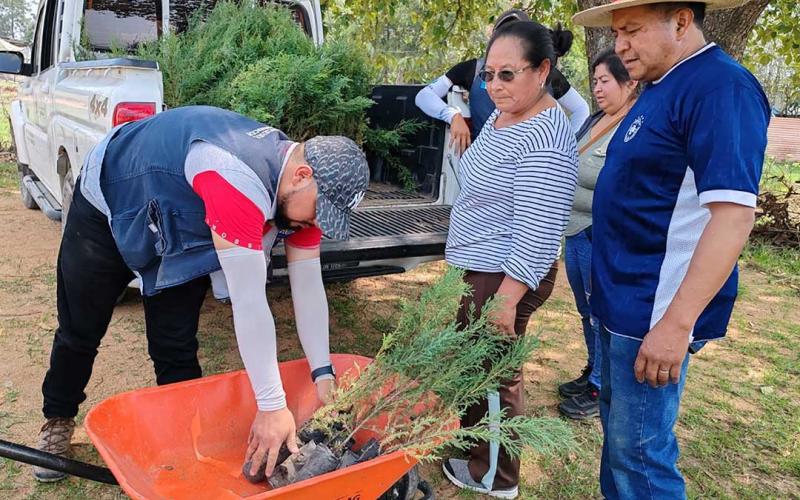 En Huehuetenango entregan árboles para conservación de suelos