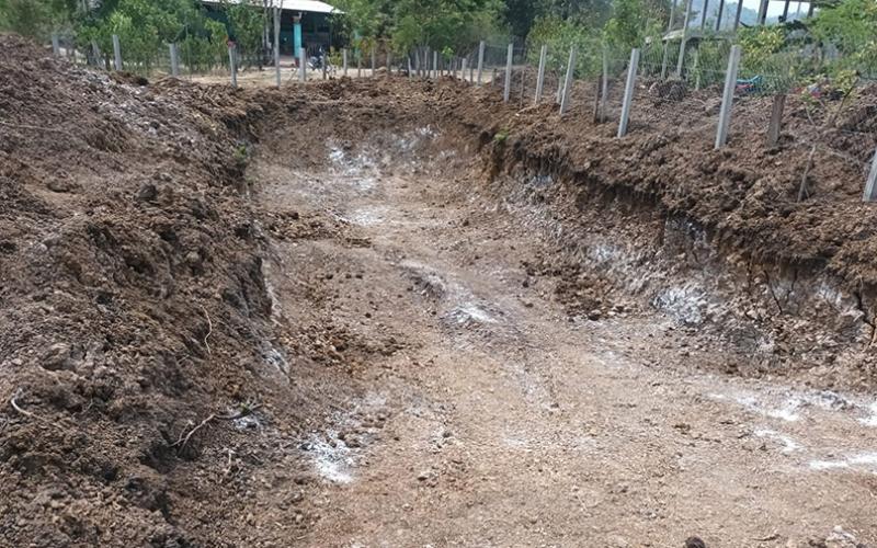 Enseñan a construir estanques para cultivo de tilapia