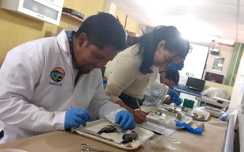 Estudios y uso de tecnología benefician a pescadores y ecosistema del lago de Atitlán