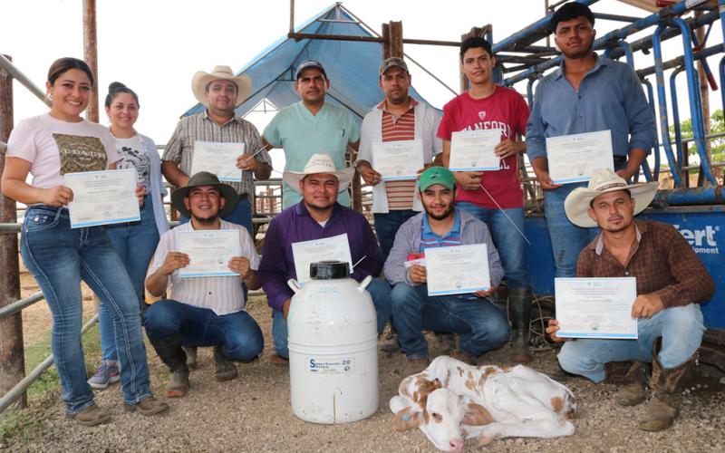 Formación sobre reproducción bovina optimiza capacidades de producción en Petén