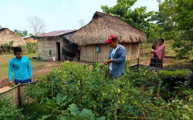 Implementan control de plagas en huertos