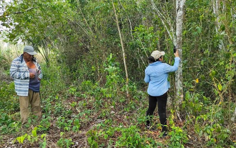 Impulsan la sostenibilidad y conservación de los recursos naturales en Petén
