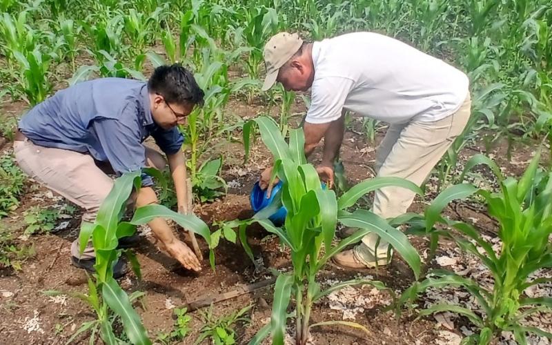 Jornada de reforestación en Suchitepéquez contribuye en la sostenibilidad de los recursos naturales