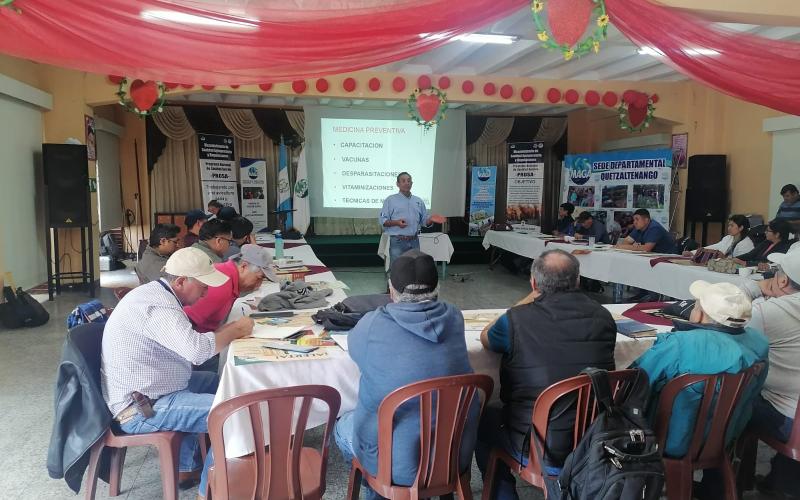 Plan profiláctico para proteger la avicultura familiar