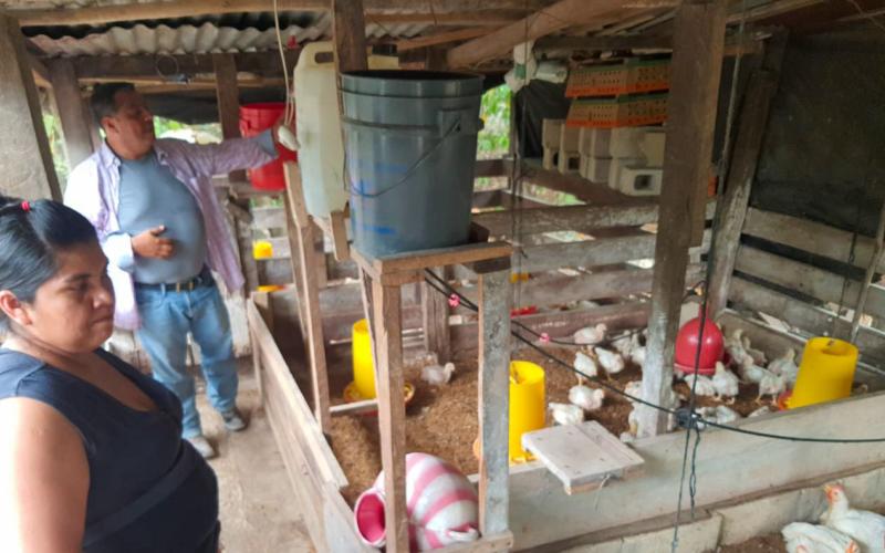 Prácticas avícolas responsables y sostenibles son impartidas en Poptún, Petén