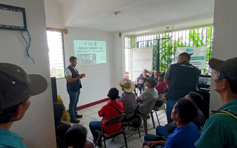 Preparan biofertilizante en Zacapa