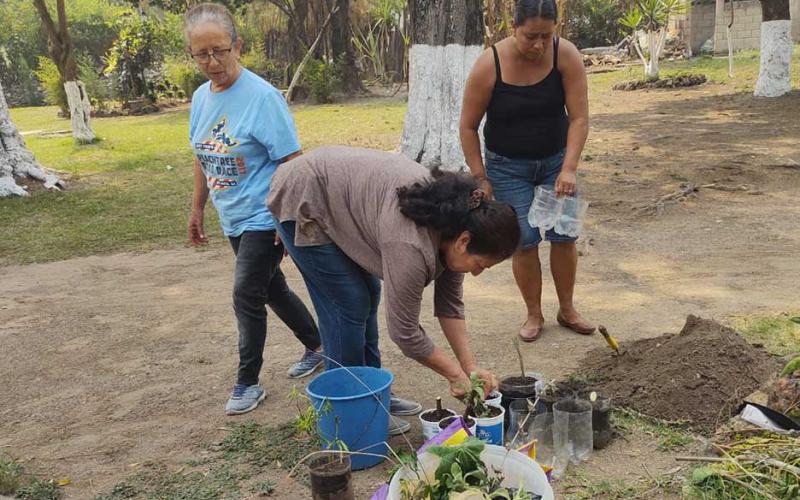 Producción de hortalizas beneficia a familias de San Miguel Petapa