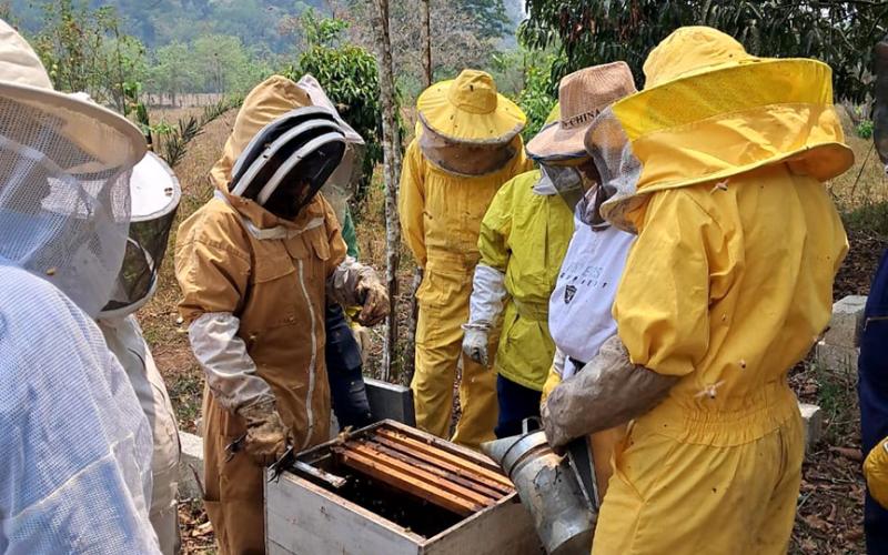 Productores de miel de Petén fortalecen sus capacidades y conocimientos