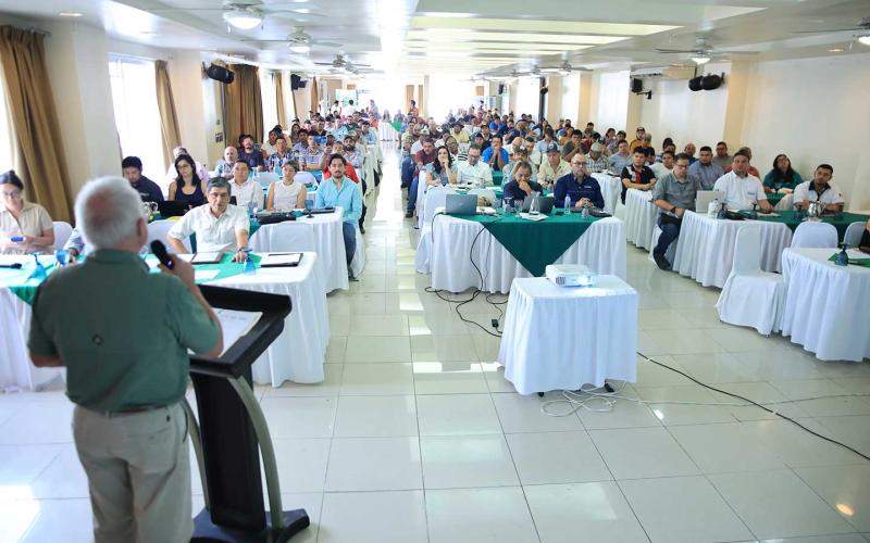 Promueven ganadería sostenible y rentable en Petén