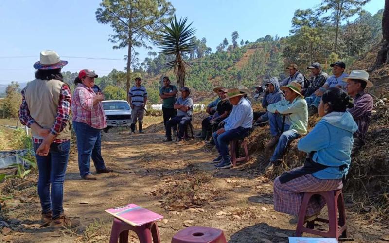 Promueven uso de abono orgánico en Sumpango, Sacatepéquez