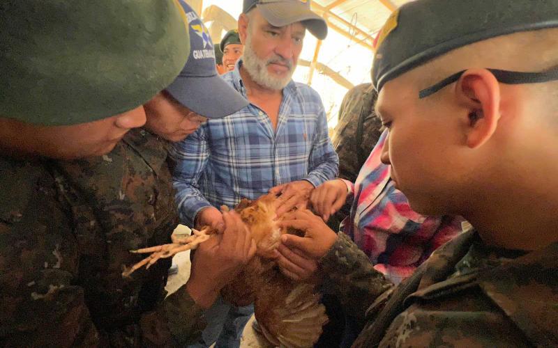 Soldados reciben capacitación sobre temas avícolas en Petén