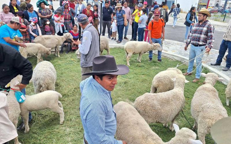 Totonicapán celebra el festival del cordero
