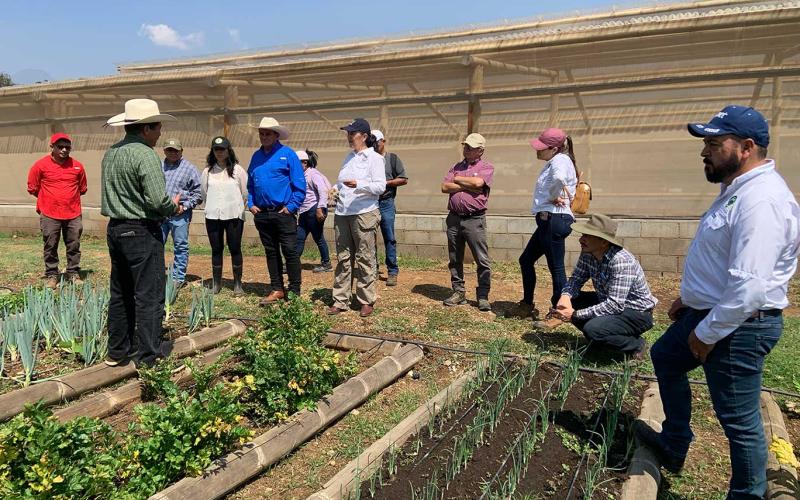 MAGA y USAC intercambian experiencias en producción agropecuaria