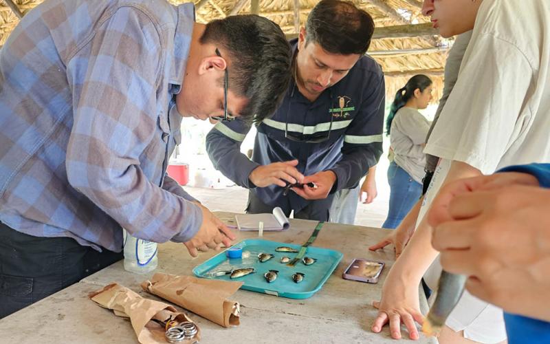 Velan por la pesca y acuicultura sostenible en el lago de Amatitlán