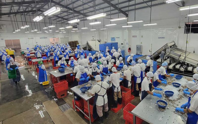 Visitan plantas de cultivo y procesamiento de camarón