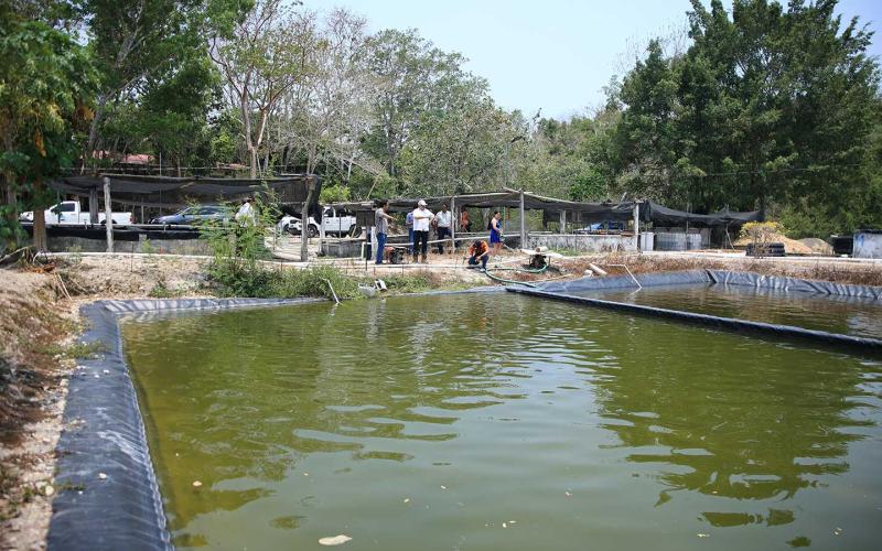 Visitan Centro Ecoproductivo Agropecuario de Petén