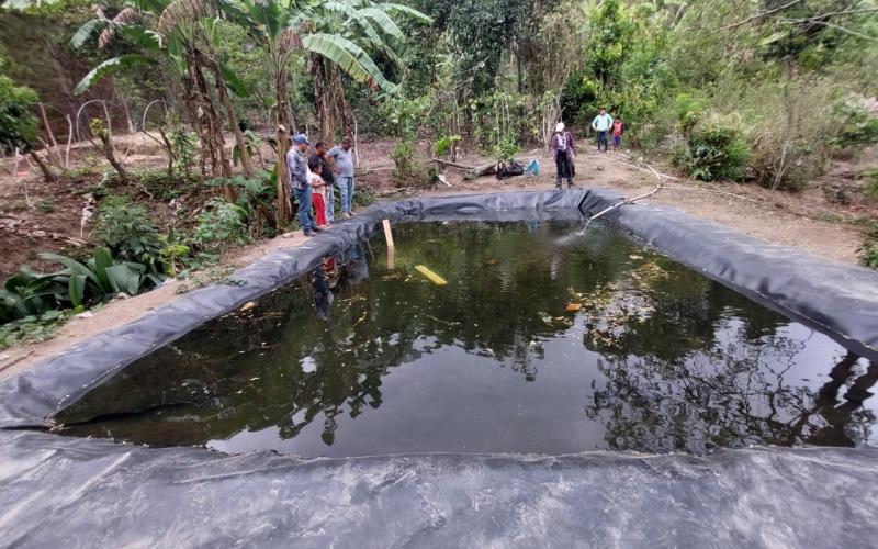 Conozca cómo capacitarse para hacer Acuicultura Familiar