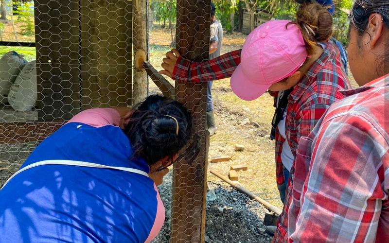 En Petén promueven la construcción de infraestructuras avícolas