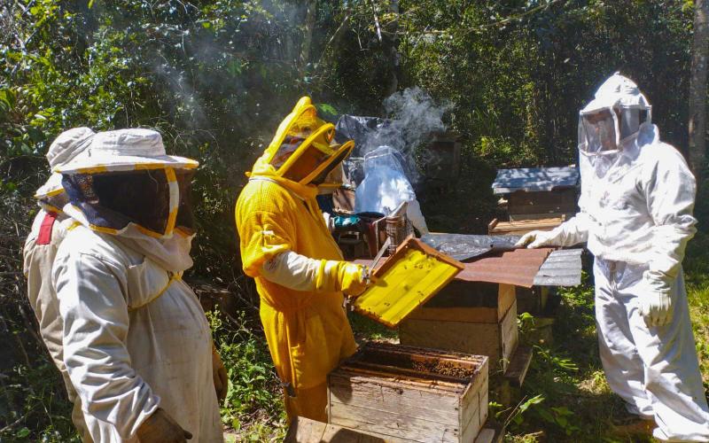 Apicultores son asistidos en Petén para aumentar y mejorar la producción