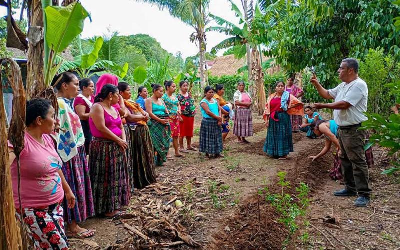 Aprenden procesos de los Huertos Familiares