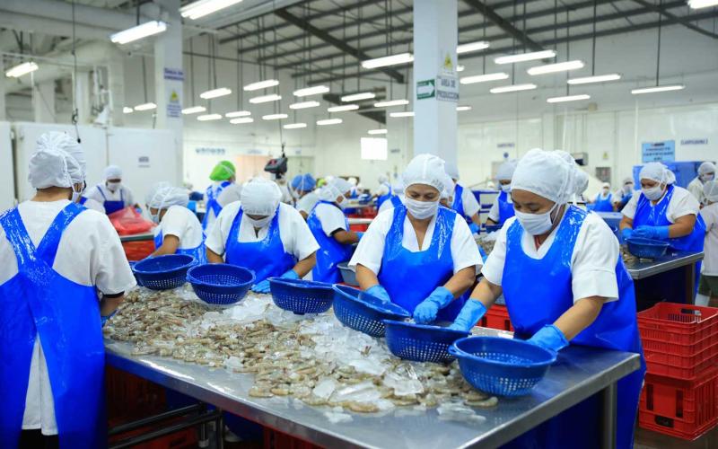 Delegación brasileña concluye evaluación de sistemas de inspección de camarón