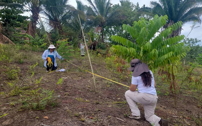 Elaboran Planes de Manejo Forestal para silvicultores de Petén