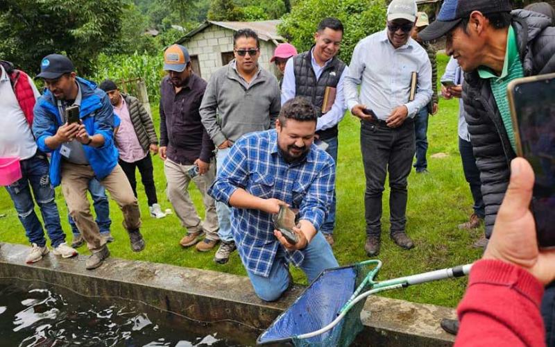 En San Marcos impulsan producción de trucha arcoíris