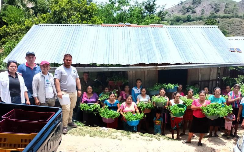 Entregan pilones de hortalizas en Melchor de Mencos
