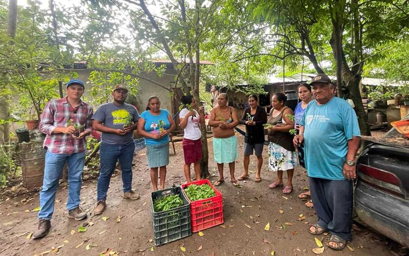 Entregan insumos y parcela demostrativa en Petén