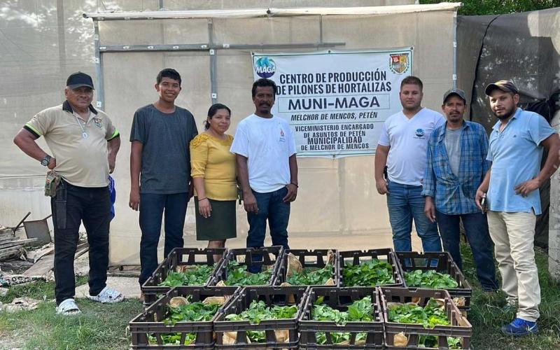 Entregan pilones de chile habanero en El Roldón