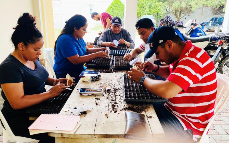 Fomentan siembra de vegetales en Petén