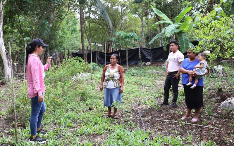 Huertos Familiares la ruta para alcanzar la autosuficiencia alimentaria