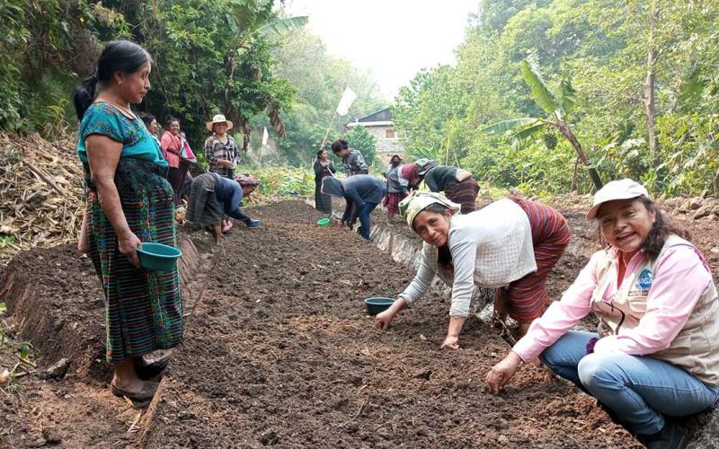 Implementación de huerto comunal promueve el desarrollo en caserío de Huehuetenango